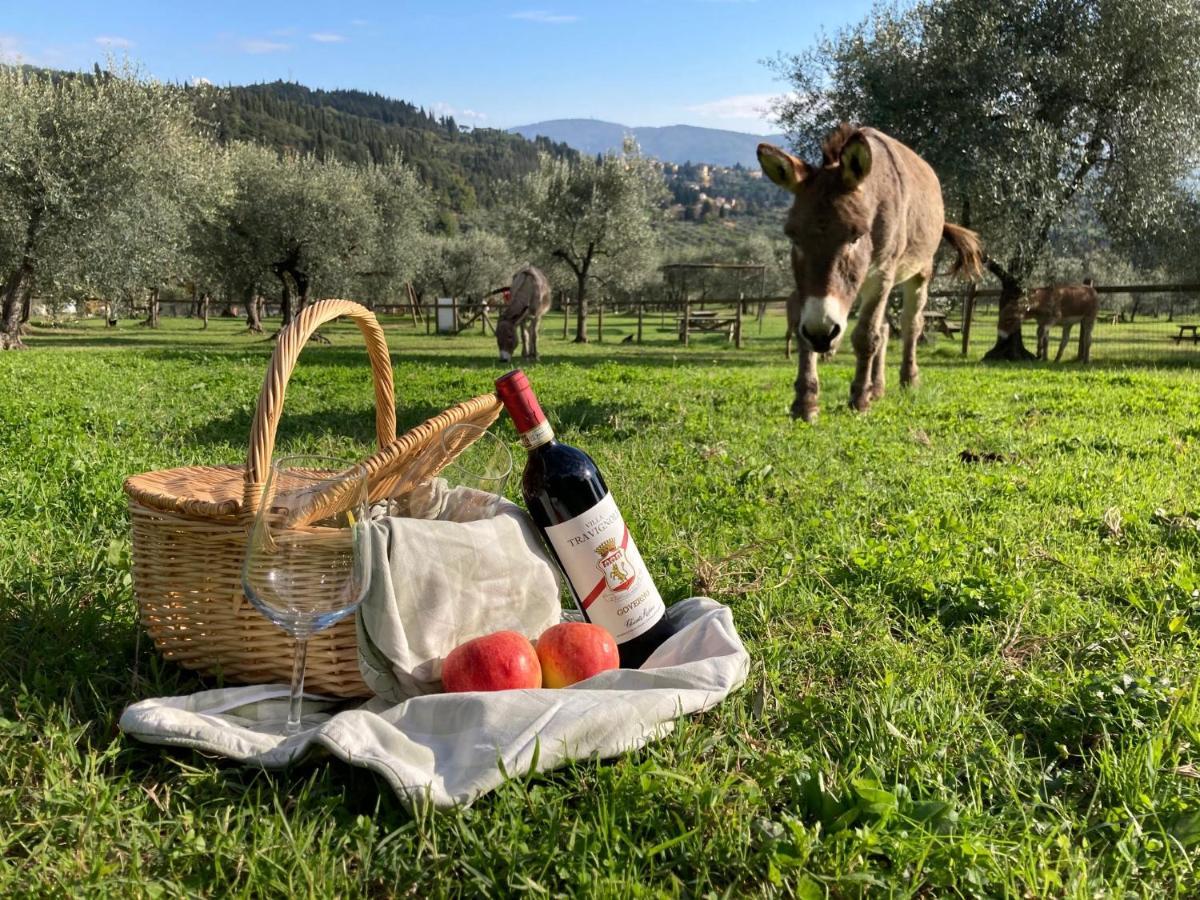 Fattoria Di Maiano Guest House Fiesole Eksteriør bilde