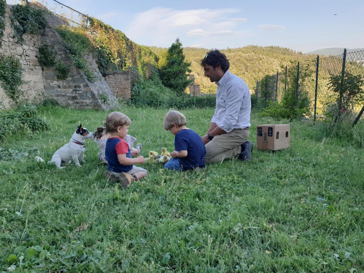Fattoria Di Maiano Guest House Fiesole Eksteriør bilde